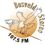 BOSVELD STEREO